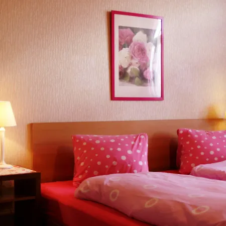 阿尔皮纳酒店 Unterseen