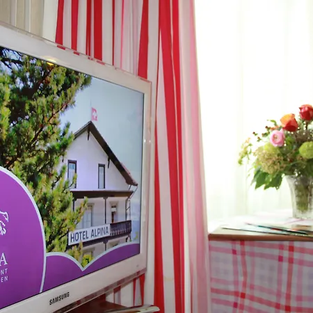 酒店 阿尔皮纳酒店 Unterseen