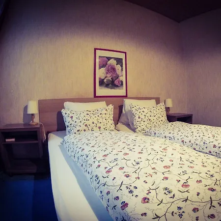 Отель Alpina 2*