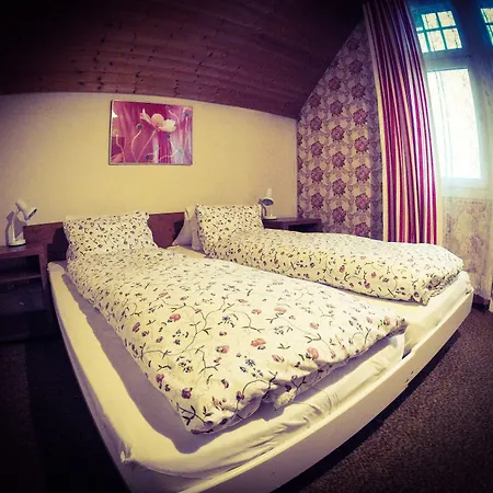 阿尔皮纳酒店 2* Unterseen