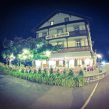 阿尔皮纳酒店 2* Unterseen