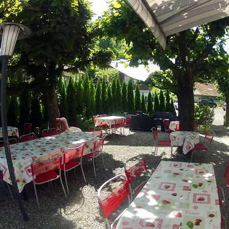 阿尔皮纳酒店 2* Unterseen