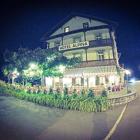 Hotel Alpina 2*