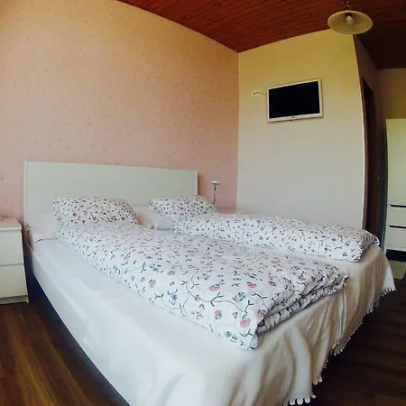 Alpina Hotel 2*
