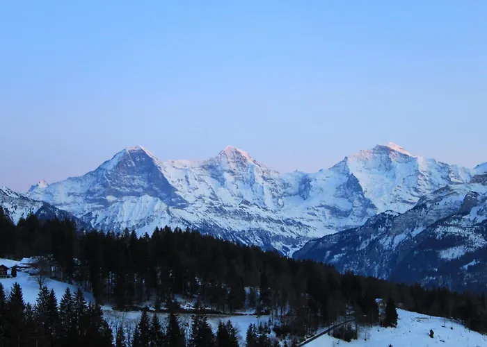 فندق Alpina Unterseen