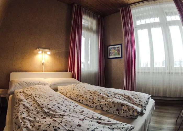 Hotel Alpina Unterseen