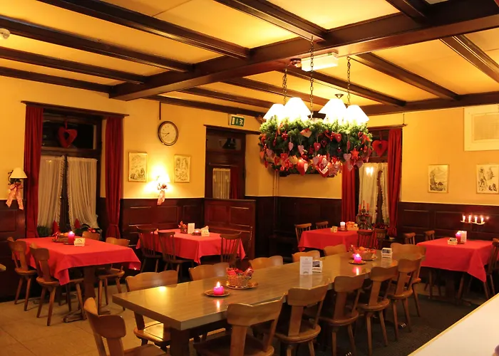 فندق Alpina Unterseen