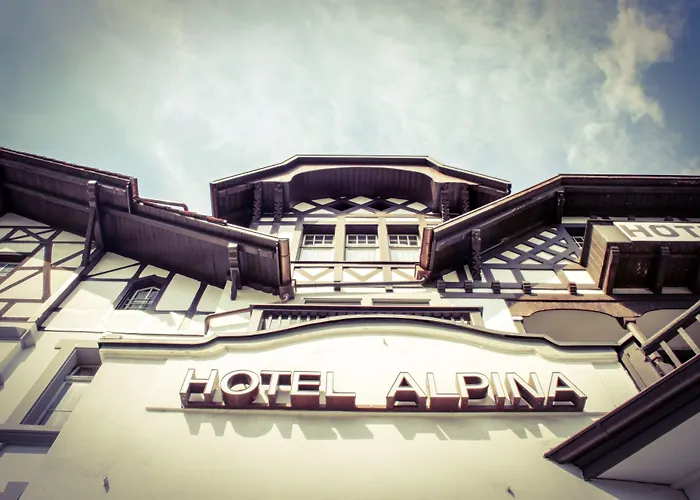 Hotel Alpina 2*