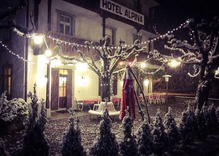 Alpina Hotel Unterseen