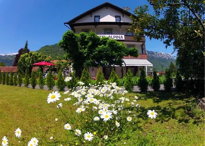 Hotel Alpina Unterseen