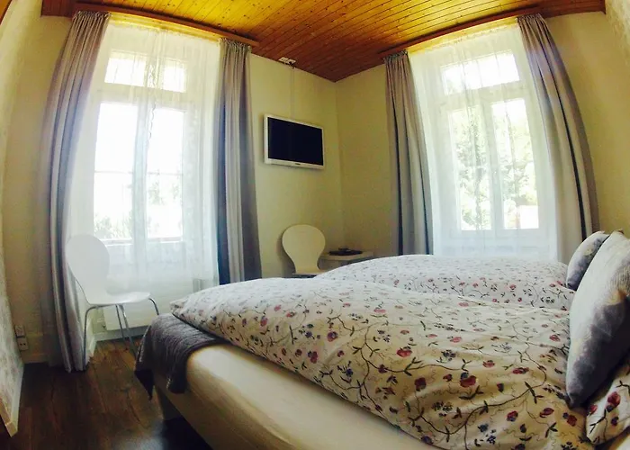 Alpina Hotel Unterseen