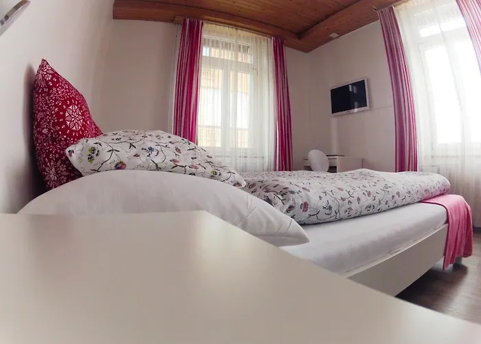 Hotel Alpina Unterseen