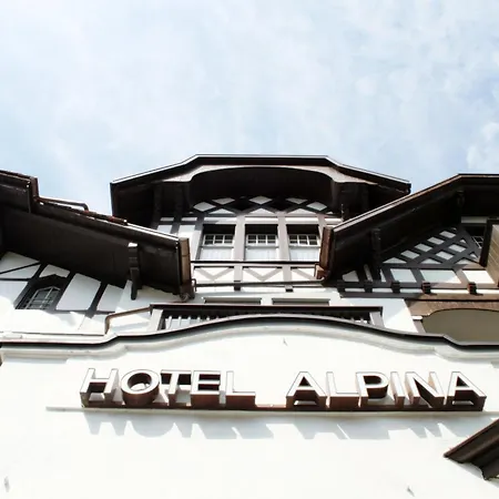 酒店 阿尔皮纳酒店 Unterseen