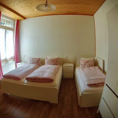 Hotel Alpina Unterseen