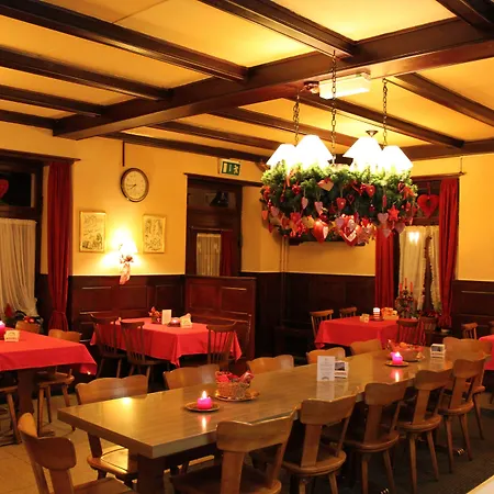 Hotel Alpina Unterseen