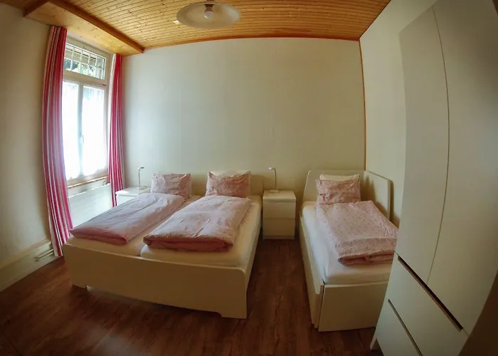 Hotel Alpina Unterseen