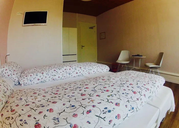 Alpina Hotel 2*