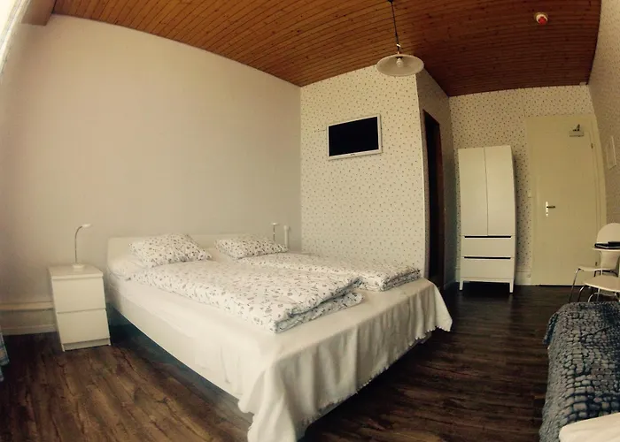 Alpina Hotel 2*