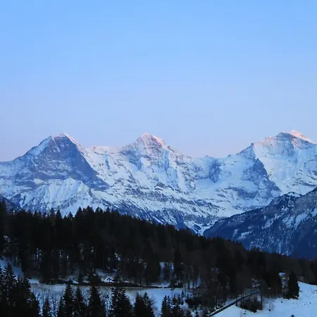 Отель Alpina Unterseen